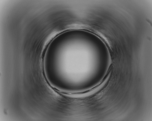 X0000096451472200801311440