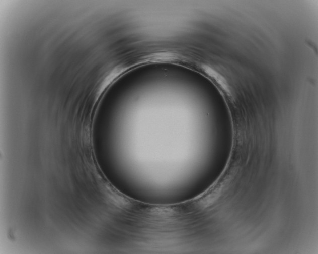 X0000096451473200801311440
