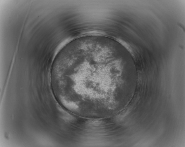 X0000096451474200801311440