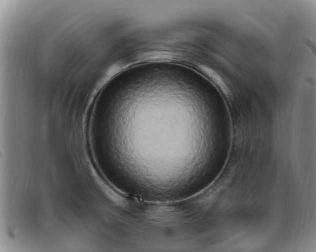 X0000096451475200801311440