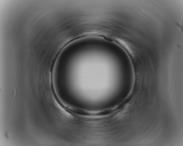 X0000096451476200801311440