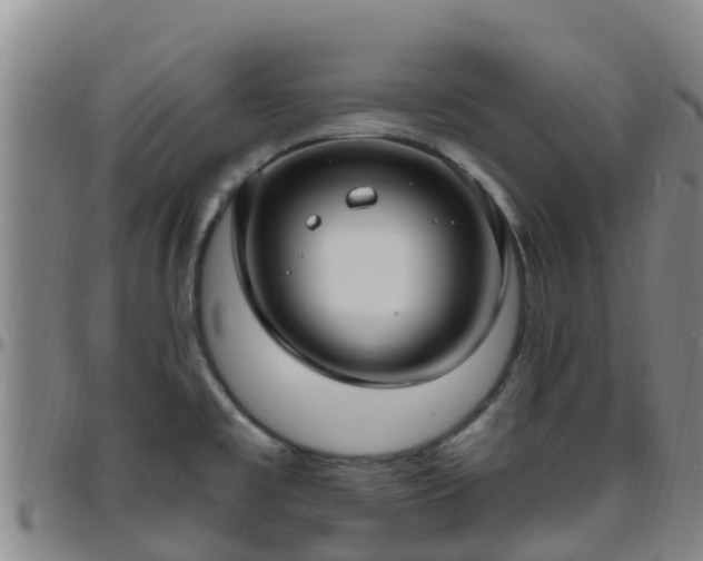 X0000096451477200801311440