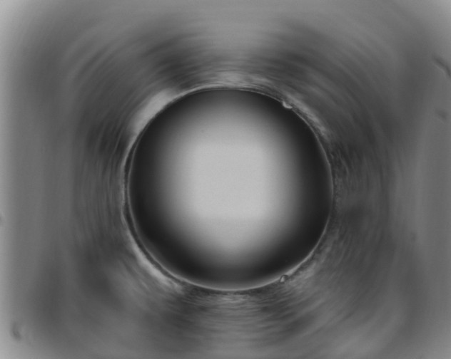 X0000096451479200801311440