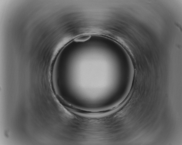 X0000096451480200801311440