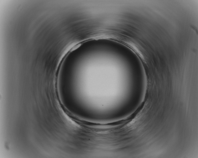 X0000096451484200801311440