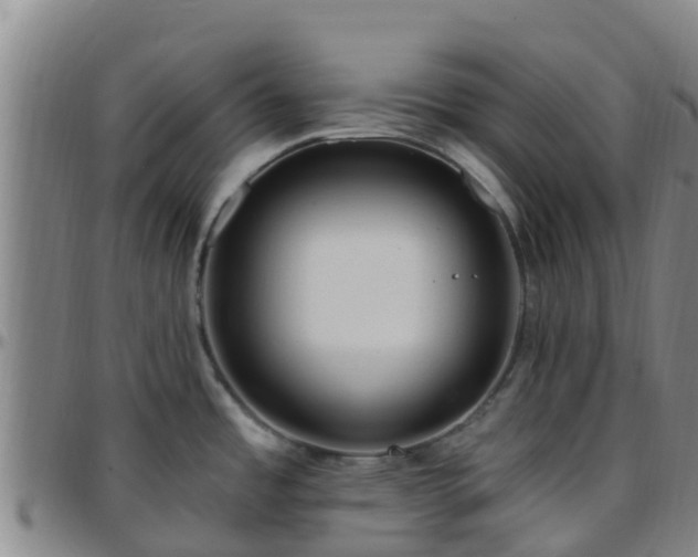 X0000096451485200801311440