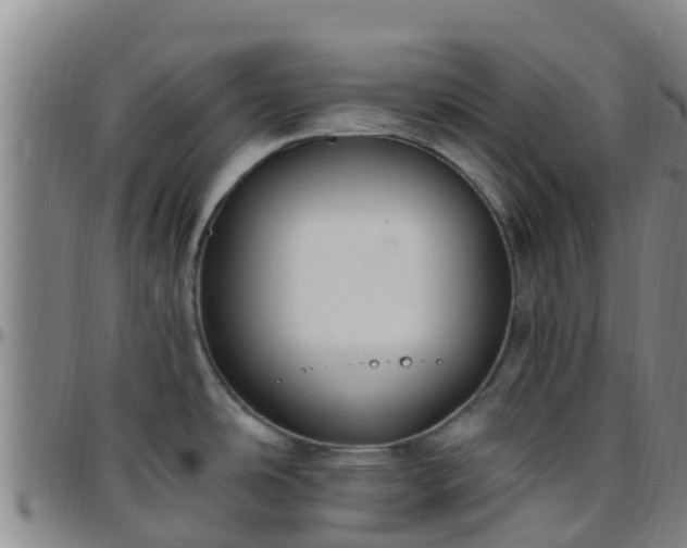X0000096451486200801311440