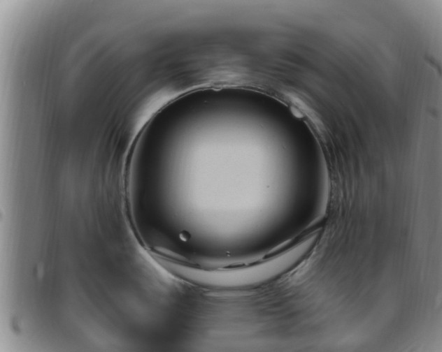 X0000096451487200801311440