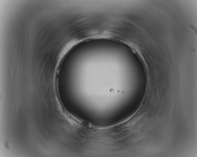 X0000096451488200801311440