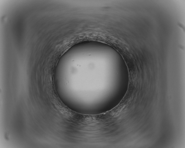X0000096451489200801311439