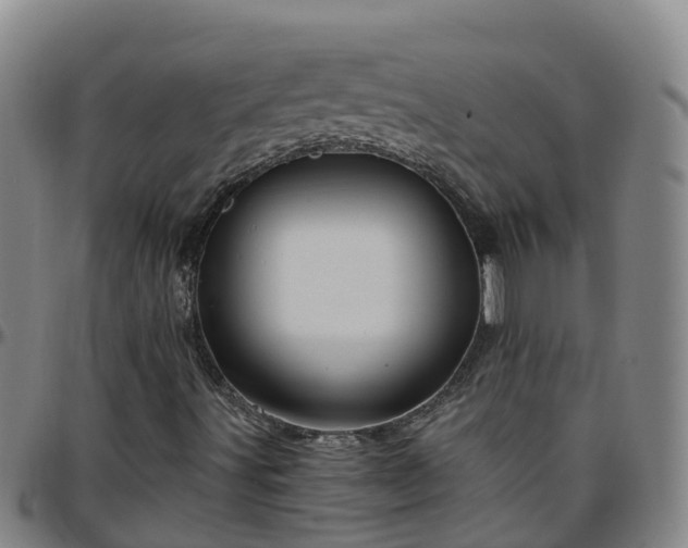 X0000096451491200801311439