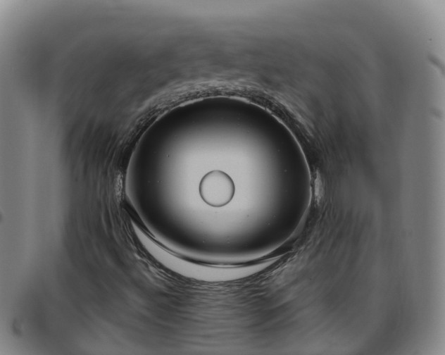X0000096451492200801311439