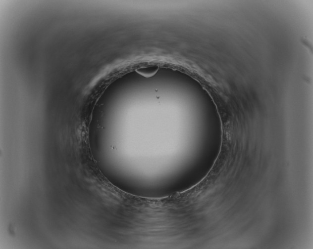 X0000096451495200801311439