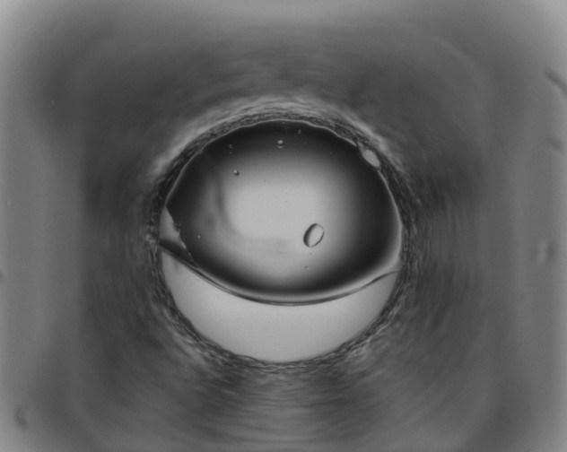 X0000096451496200801311439