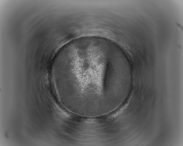 X0000096451497200801311439