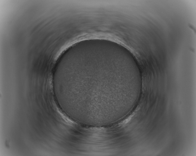 X0000096451498200801311439