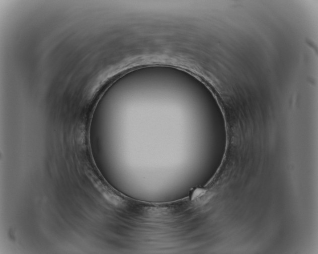 X0000096451499200801311439