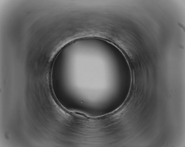 X0000096451500200801311439