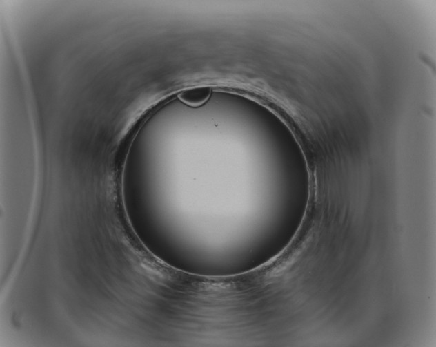 X0000096451501200801311439