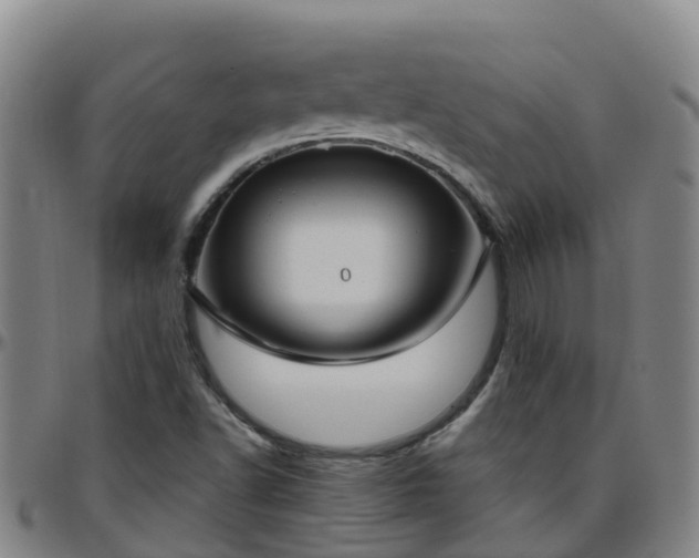 X0000096451502200801311439