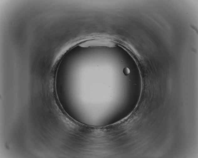 X0000096451504200801311439
