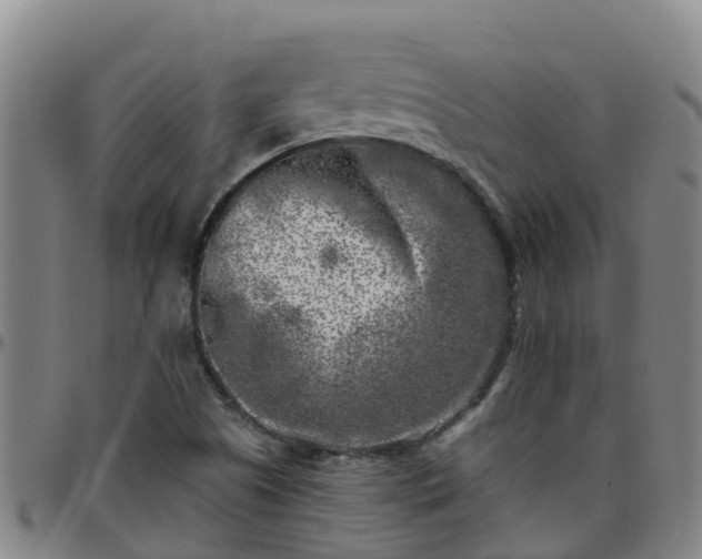 X0000096451505200801311439