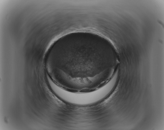 X0000096451506200801311439