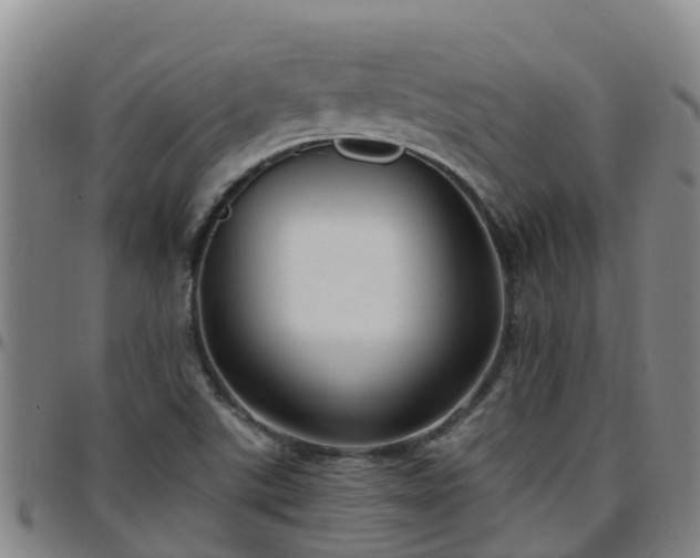 X0000096451507200801311439