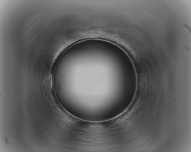 X0000096451509200801311439