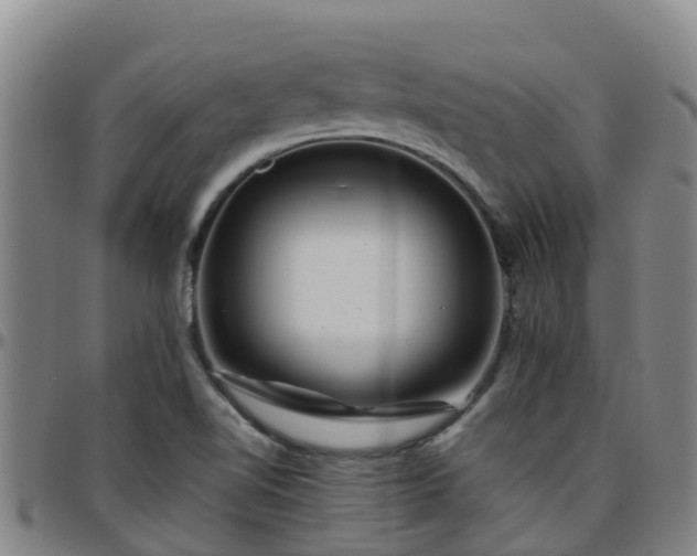 X0000096451510200801311439