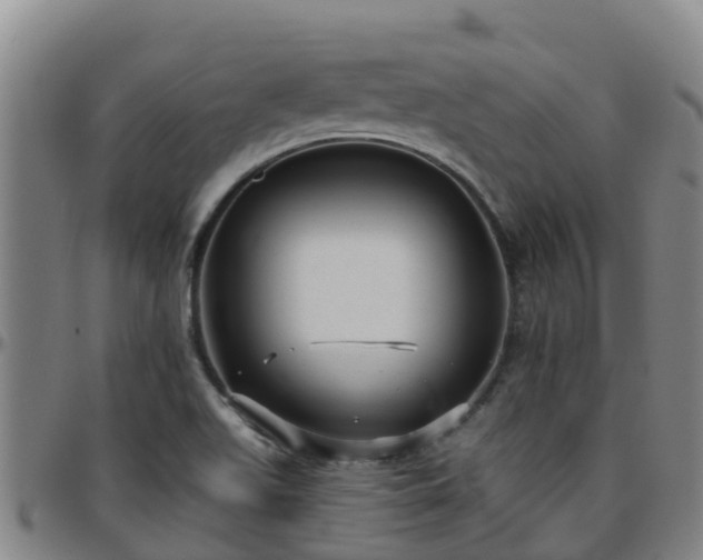 X0000096451511200801311439