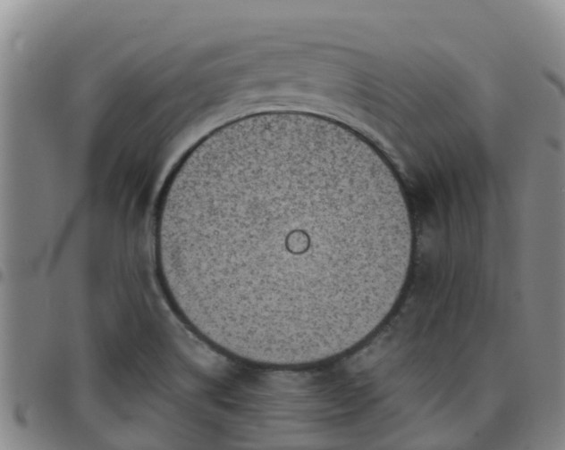 X0000096451514200801311439