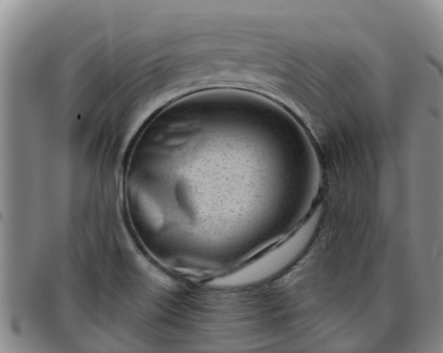 X0000096451515200801311439