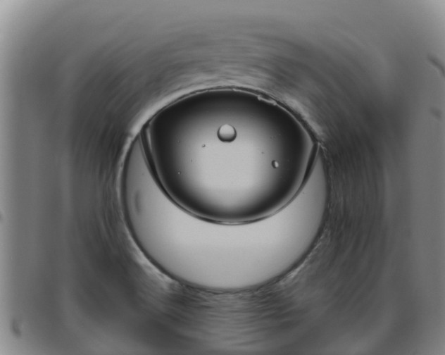 X0000096451516200801311439