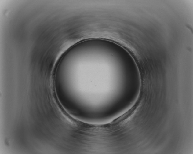 X0000096451517200801311439