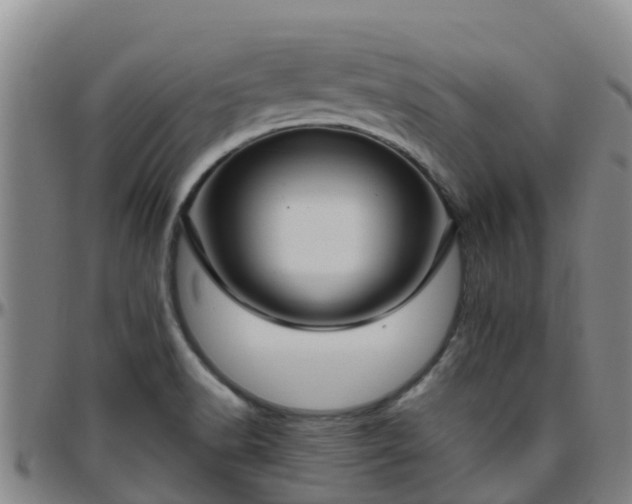 X0000096451518200801311439