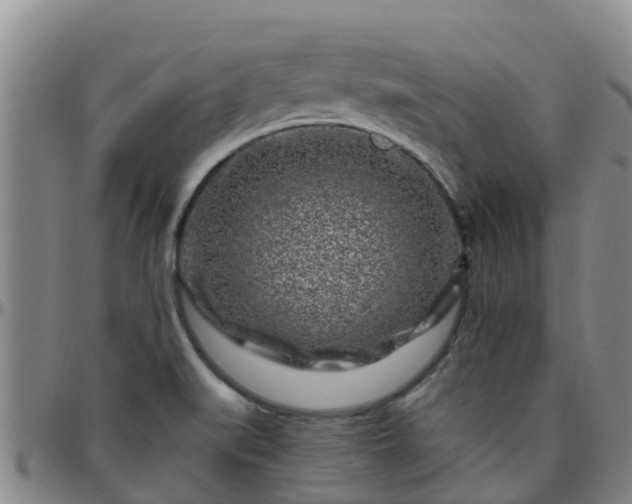 X0000096451519200801311439