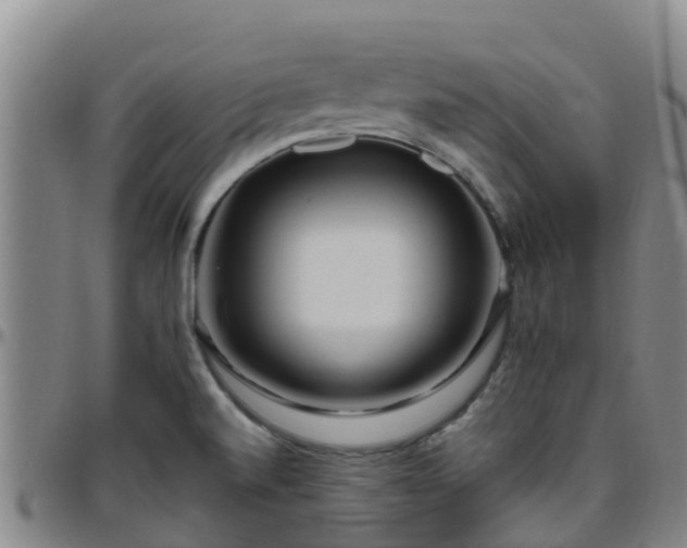 X0000096451520200801311439
