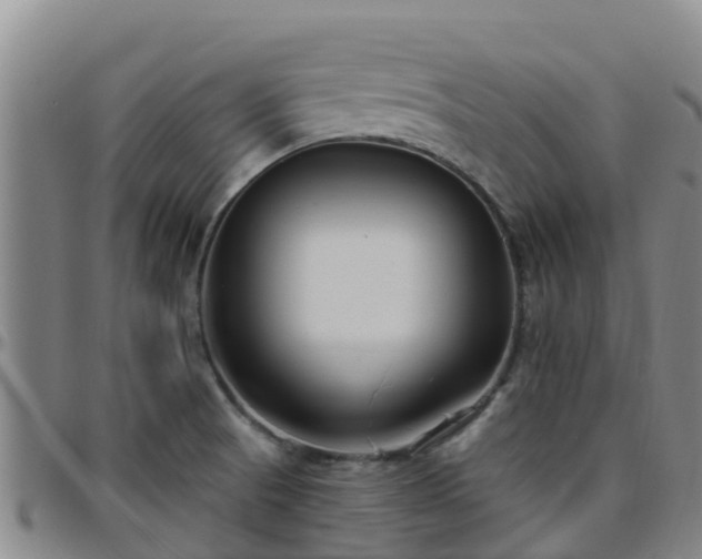 X0000096451521200801311439