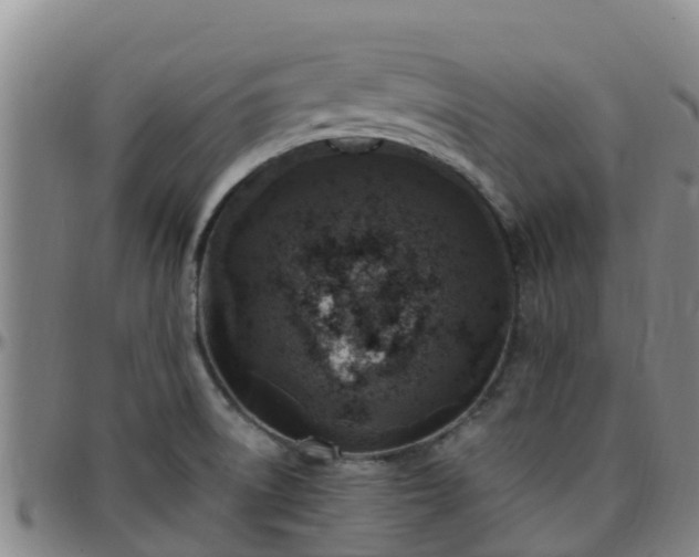X0000096451522200801311439