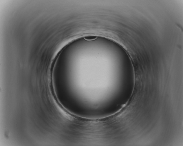X0000096451523200801311439