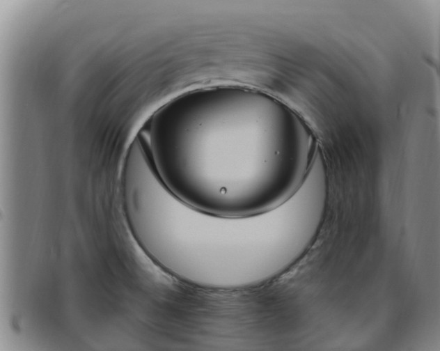 X0000096451524200801311439
