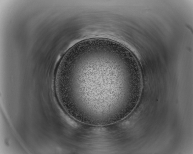X0000096451525200801311439