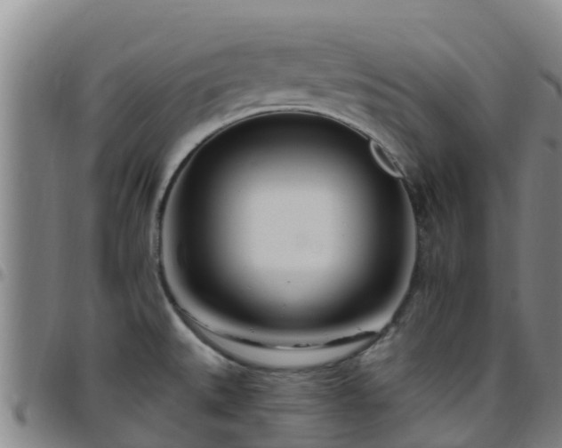 X0000096451527200801311439