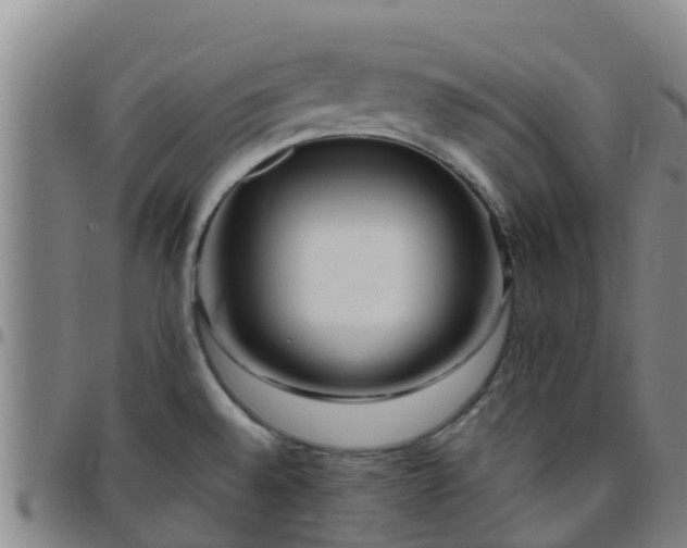 X0000096451528200801311439
