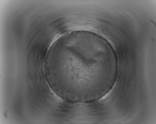 X0000096451529200801311439