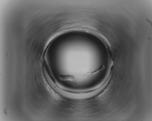 X0000096451530200801311439