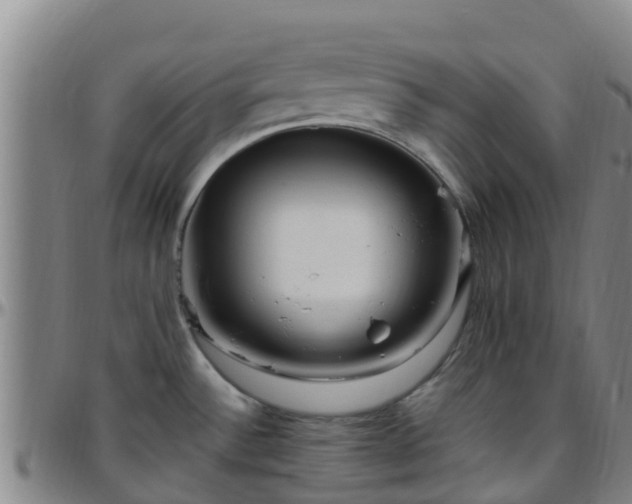 X0000096451532200801311439
