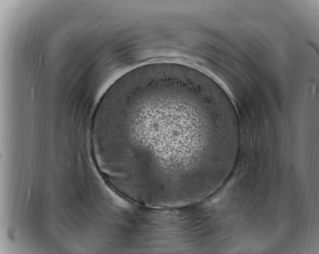 X0000096451533200801311439