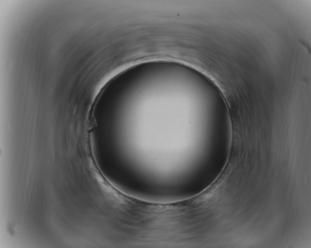X0000096451534200801311439